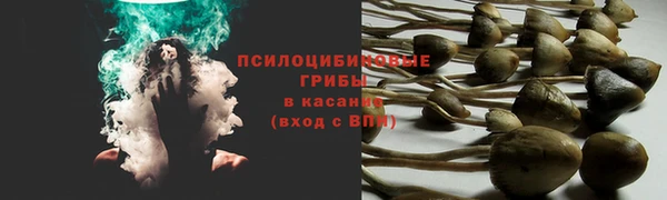 кокаин Богородицк