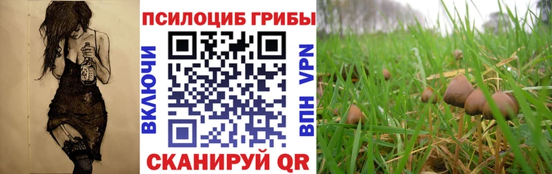 Галлюциногенные грибы Magic Shrooms  даркнет сайт  Белорецк 